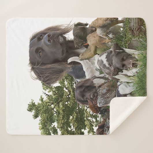 Couverture Sherpa Petit Munsterlander (Devant (Horizontal))