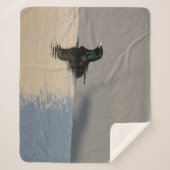 Couverture Sherpa Petit oiseau sur l'eau (Devant)