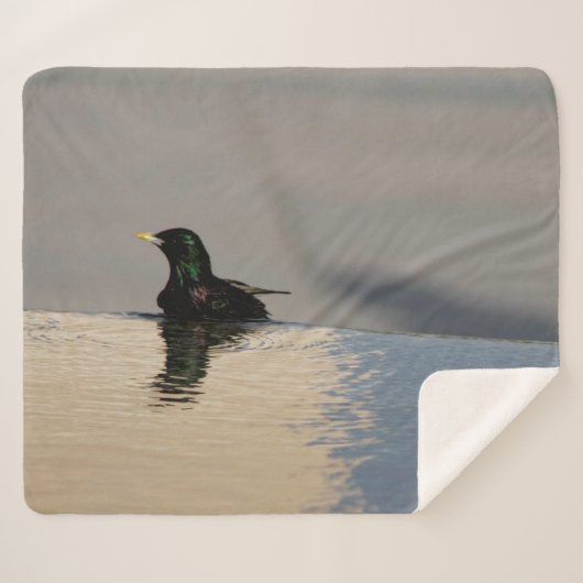 Couverture Sherpa Petit oiseau sur l'eau (Devant (Horizontal))