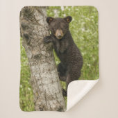 Couverture Sherpa Petit Ours noir dans l'arbre (Devant)