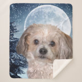 Couverture Sherpa Petite lune d'hiver (Devant)