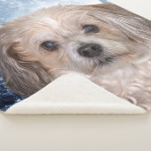 Couverture Sherpa Petite lune d'hiver (3/4)