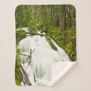Couverture Sherpa Petites chutes de Zig Zag Forêt nationale du Mon