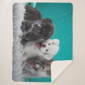 Couverture Sherpa Petites marionnettes (Devant)