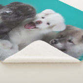 Couverture Sherpa Petites marionnettes (3/4)