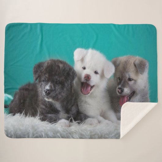 Couverture Sherpa Petites marionnettes (Devant (Horizontal))