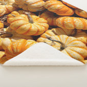 Couverture Sherpa petits citrouilles dans la pile (3/4)