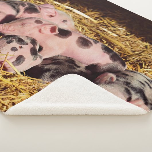 COUVERTURE SHERPA PETITS PIGLETS DORMIERS (3/4)