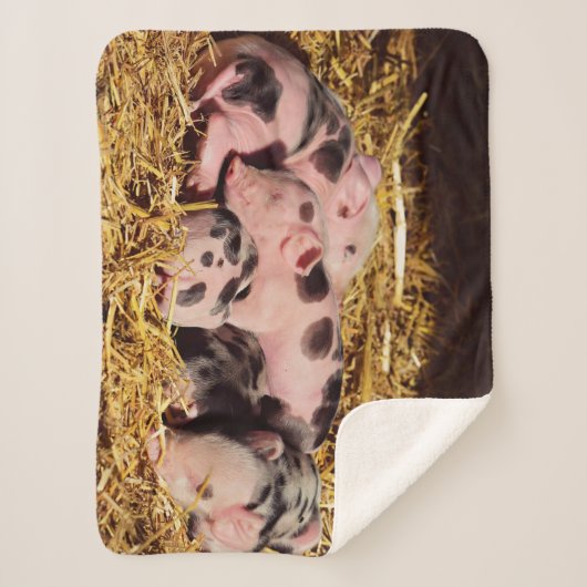 COUVERTURE SHERPA PETITS PIGLETS DORMIERS (Devant)