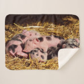 COUVERTURE SHERPA PETITS PIGLETS DORMIERS (Devant (Horizontal))