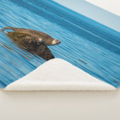 Couverture Sherpa Phoque commun (3/4)