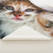 Couverture Sherpa Photo de animal de compagnie moderne Amoureux des (3/4)