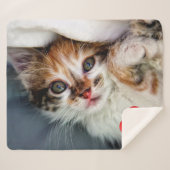 Couverture Sherpa Photo de animal de compagnie moderne Amoureux des (Devant (Horizontal))