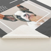 Couverture Sherpa Photo de chien moderne | Devis de chien (3/4)