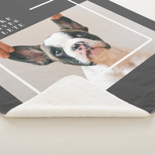 Couverture Sherpa Photo de chien moderne | Devis de chien (3/4)