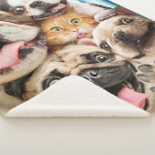 Couverture Sherpa Photo d'un groupe de chiens et de chats (3/4)