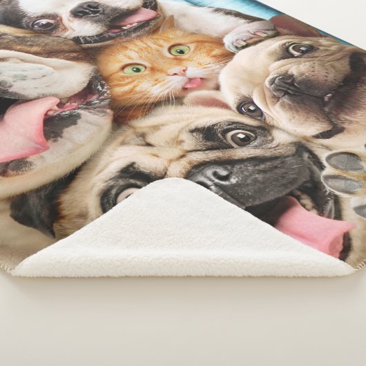 Couverture Sherpa Photo d'un groupe de chiens et de chats (3/4)