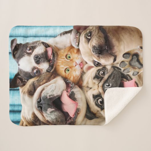 Couverture Sherpa Photo d'un groupe de chiens et de chats (Devant (Horizontal))