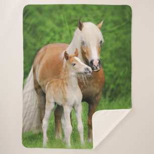 Couverture Sherpa Photo mignonne de poney de maman de baiser de
