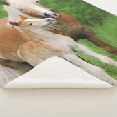 Couverture Sherpa Photo mignonne de poney de maman de baiser de (3/4)