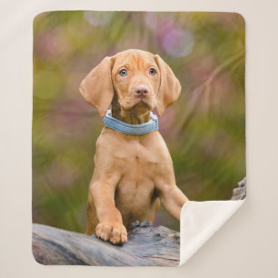 Couverture Sherpa Photo puppyeyed mignonne de chiot de chien de