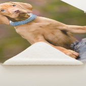 Couverture Sherpa Photo puppyeyed mignonne de chiot de chien de (3/4)