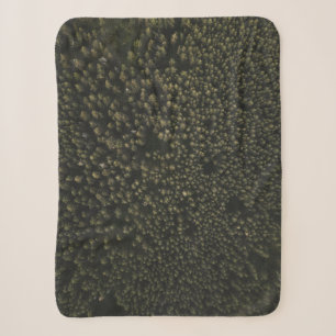 Couverture Sherpa Photographie aérienne de grands arbres verts