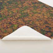 Couverture Sherpa Photographie aérienne de la forêt (3/4)