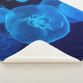 COUVERTURE SHERPA PHOTOGRAPHIE DE CLOSEUP DE SWARM DE JELLYFISH (3/4)