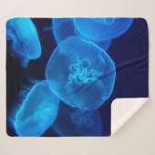 COUVERTURE SHERPA PHOTOGRAPHIE DE CLOSEUP DE SWARM DE JELLYFISH (Devant (Horizontal))