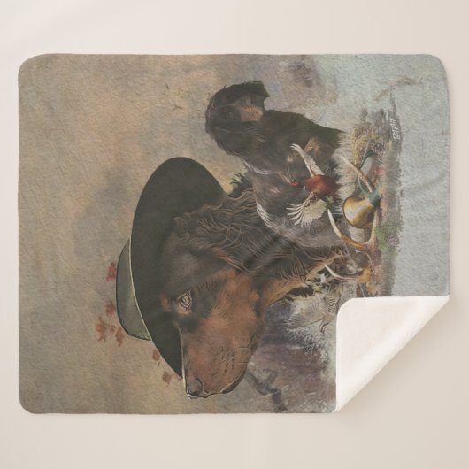 Couverture Sherpa Picardy Spaniel, Saison Chasse (Devant (Horizontal))