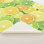 Couverture Sherpa Pièces de fruits d'agrumes pop art 3 (3/4)