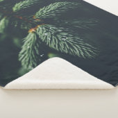 COUVERTURE SHERPA PINE CONES (3/4)