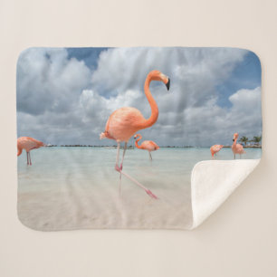 Couverture Sherpa Plages tropicales   Flamants roses Beach, Aruba