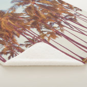 Couverture Sherpa plantation de palmiers (3/4)