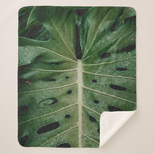 Couverture Sherpa Plante de feuille verte (Devant)