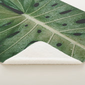 Couverture Sherpa Plante de feuille verte (3/4)