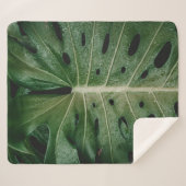 Couverture Sherpa Plante de feuille verte (Devant (Horizontal))