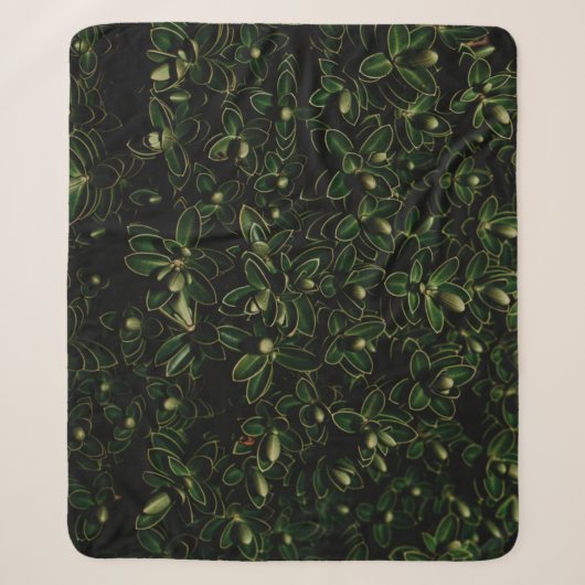 Couverture Sherpa Plante de feuille verte (Devant)