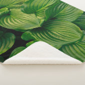 Couverture Sherpa Plante vert (3/4)