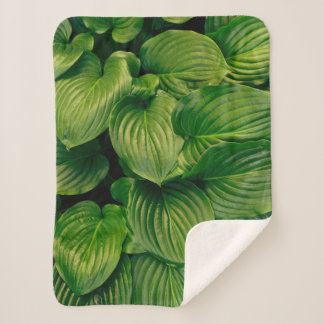 Couverture Sherpa Plante vert