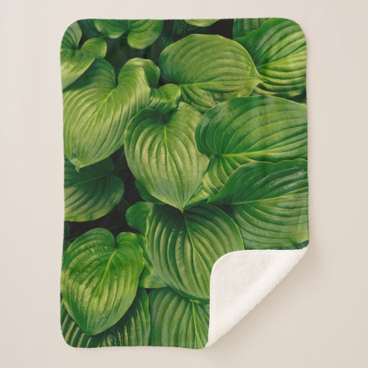 Couverture Sherpa Plante vert (Devant)