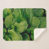 Couverture Sherpa Plante vert (Devant (Horizontal))