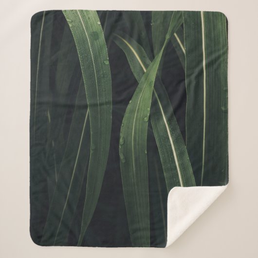 COUVERTURE SHERPA PLANTE VERT (Devant)