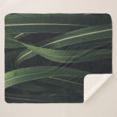 COUVERTURE SHERPA PLANTE VERT (Devant (Horizontal))