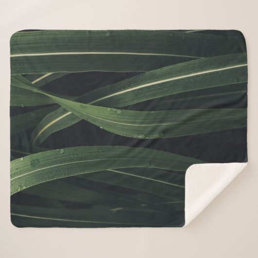 COUVERTURE SHERPA PLANTE VERT (Devant (Horizontal))