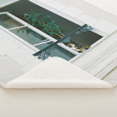 COUVERTURE SHERPA PLANTE VERT SUR FENÊTRE BLANCHE (3/4)