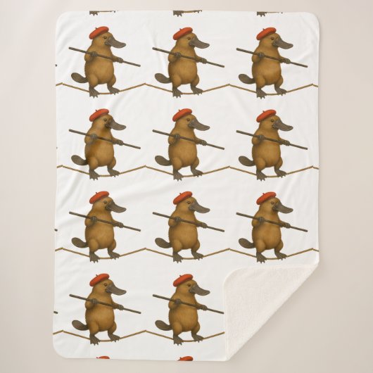 Couverture Sherpa Platon ornithorynque funambule (Devant)