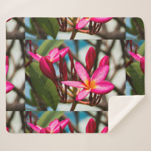Couverture Sherpa Plumeria arrière - plan de fleurs exotiques