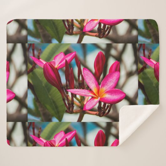 Couverture Sherpa Plumeria arrière - plan de fleurs exotiques (Devant (Horizontal))